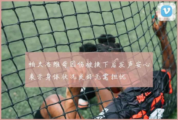 帕夫洛维奇因伤被换下后发声安心表示身体状况良好无需担忧