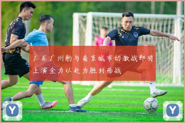 广东广州豹与南京城市的激战即将上演全力以赴为胜利而战