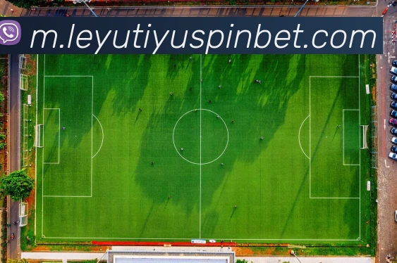 乐鱼体育发展历程