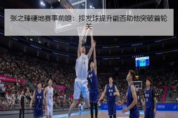张之臻硬地赛事前瞻：接发球提升能否助他突破首轮关 - Leyu
